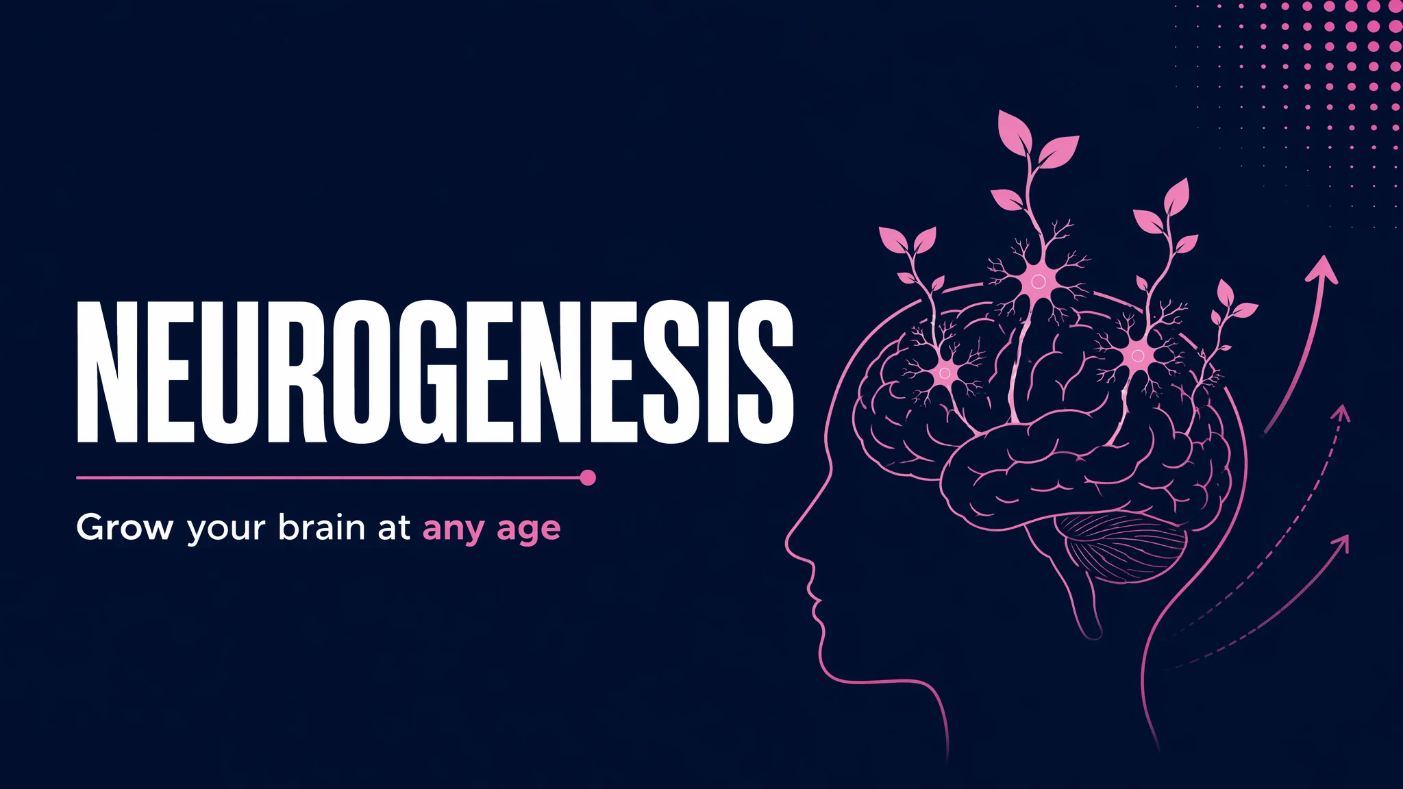 Neurogenesis & Cognitive Enhancement course cover