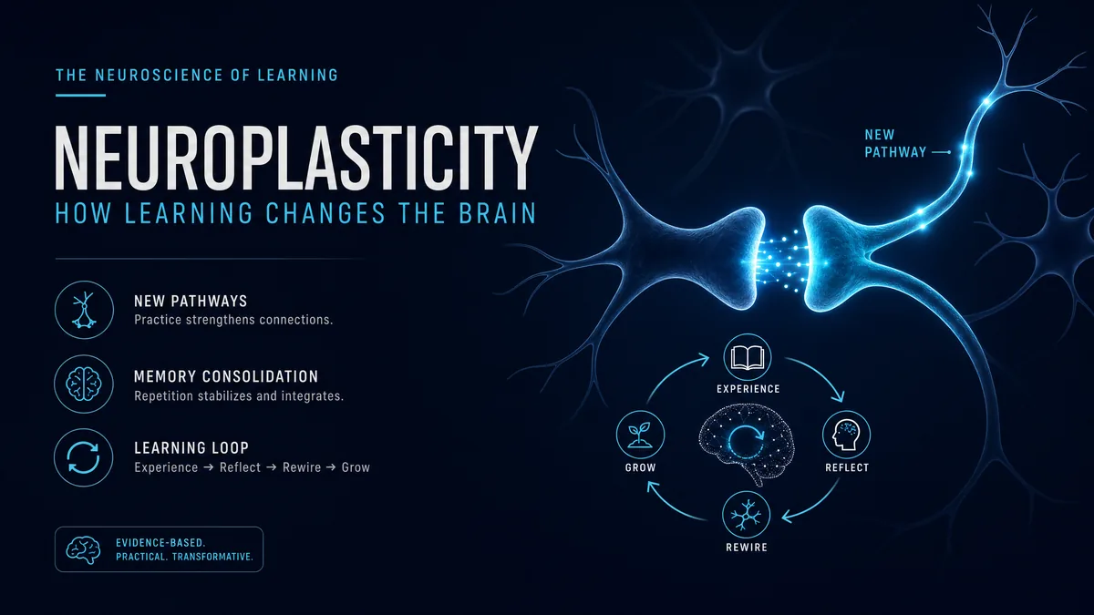 Neuroplasticity — Train Your Brain to Learn Faster course cover